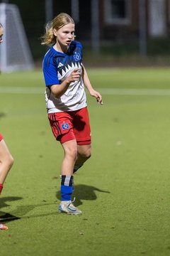 Bild 382 - wBJ Eimsbuettler TV - Hamburger SV : Ergebnis: 1:2